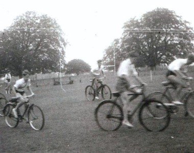 Contributed by T McMeeken