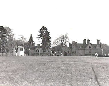 From Cricket pitch. Contributed by Tim McMeeken.