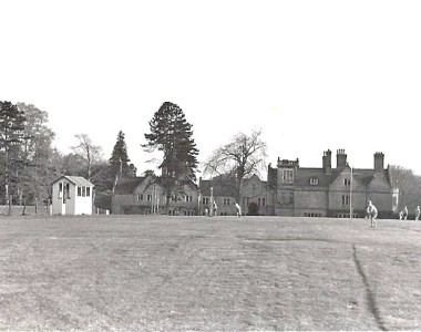 From Cricket pitch. Contributed by Tim McMeeken.