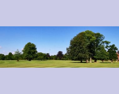 Transferred from Handcross Park web site