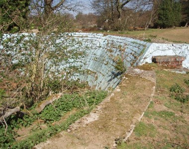 Overgrown and forgotten Contributed by P Ede