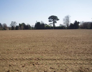 General view Contributed by P.Ede