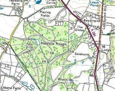 Shows Newells Rough in the centre, playing fields, the house and outbuildings with the drive leading to the A381. Newells Farm and Newells Pond.